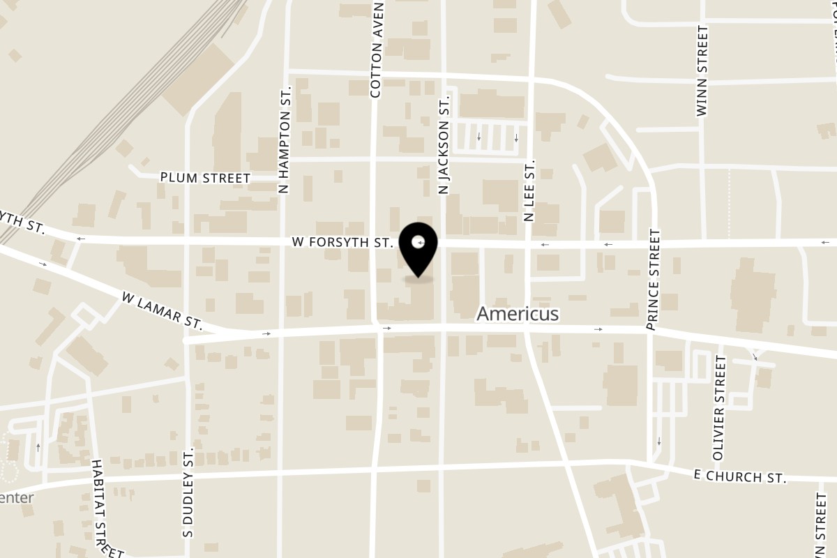 Map showing the location of THE SPOT Latin Fusion Cuisine on 118 North Jackson Street in Americus